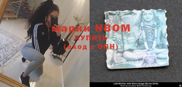 стаф Пестово