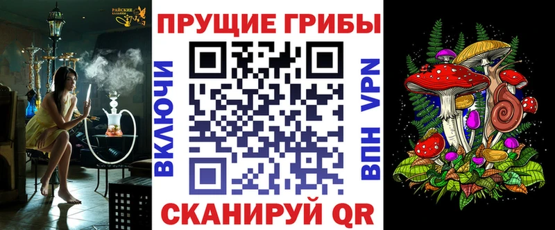 как найти наркотики Александровск-Сахалинский Галлюциногенные грибы мухоморы